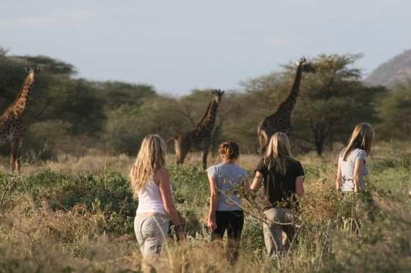 Bush walking Safaris in the conservancy